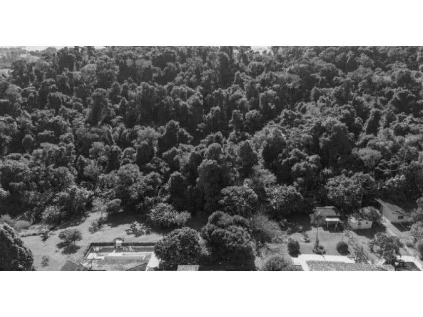 Foto 29 de 29: Terreno em leilão em Joanópolis - SP — Terreno c/benfeitorias à venda em leilão