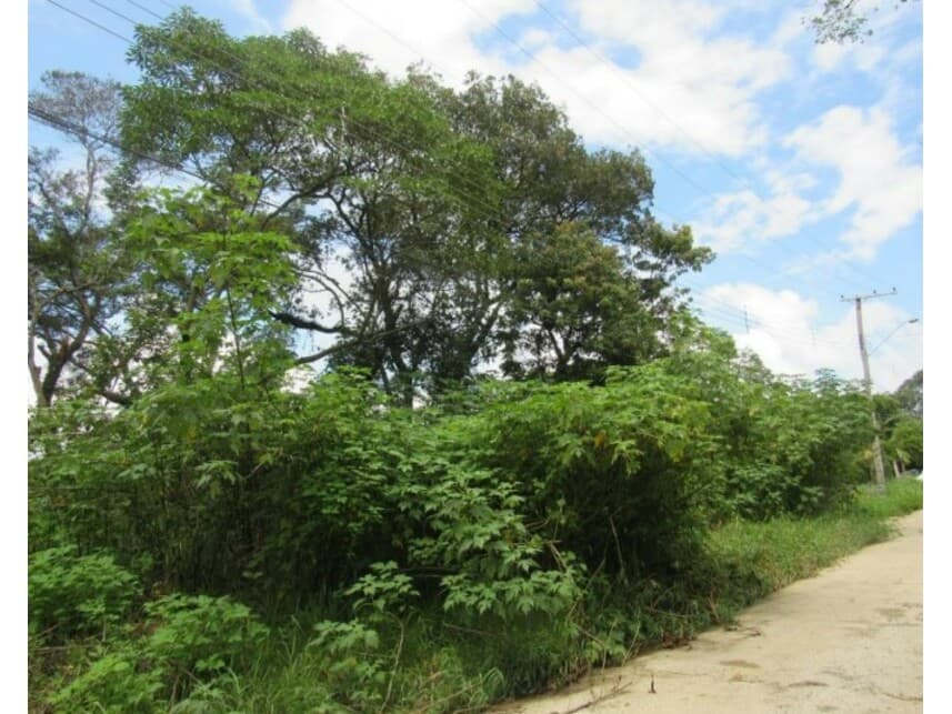 Foto 3 de 7: Terreno em leilão em Mairiporã - SP — Terreno à venda em leilão
