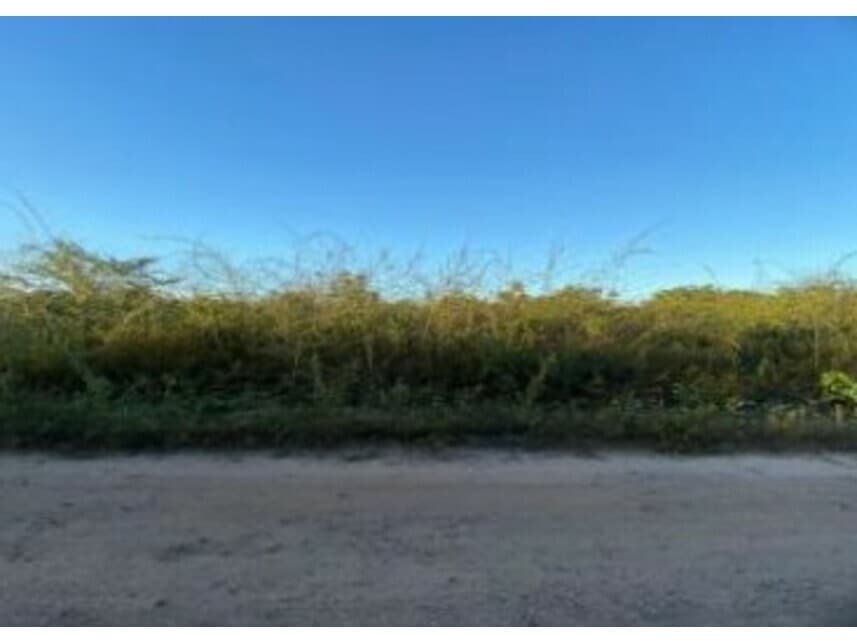 Foto 1 de 2: Terreno em leilão em Chapadinha - MA — Terreno à venda em leilão