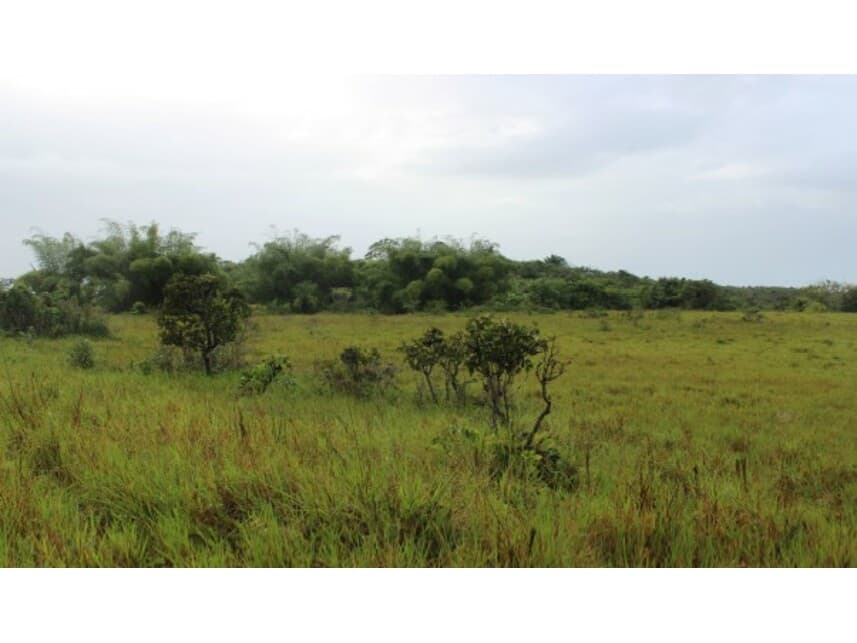 Foto 1 de 4: Area Rural em leilão em Camaçari - BA — Gleba de Terras à venda em leilão