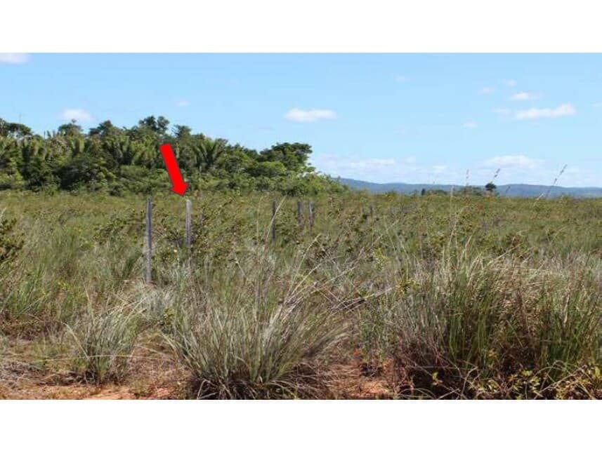 Foto 2 de 2: Area Rural em leilão em Maraú - BA — Área Rural à venda em leilão