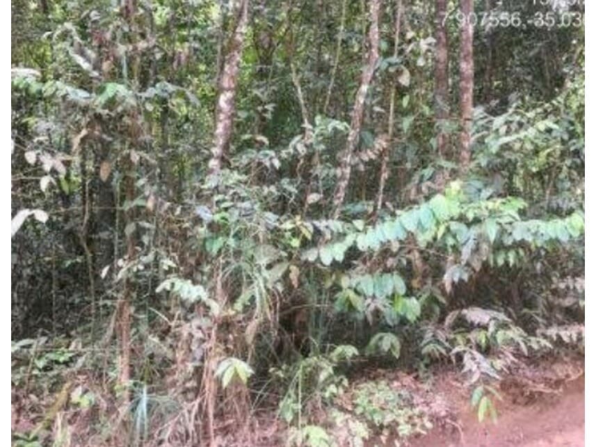 Foto 8 de 19: Area Rural em leilão em Abreu E Lima - PE — Área Rural à venda em leilão