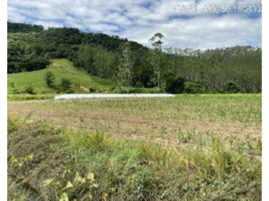 Foto 3 de 6: Area Rural em leilão em Rio Do Campo - SC — Área Rural à venda em leilão