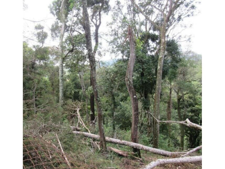 Foto 5 de 7: Terreno em leilão em Mairiporã - SP — Terreno à venda em leilão