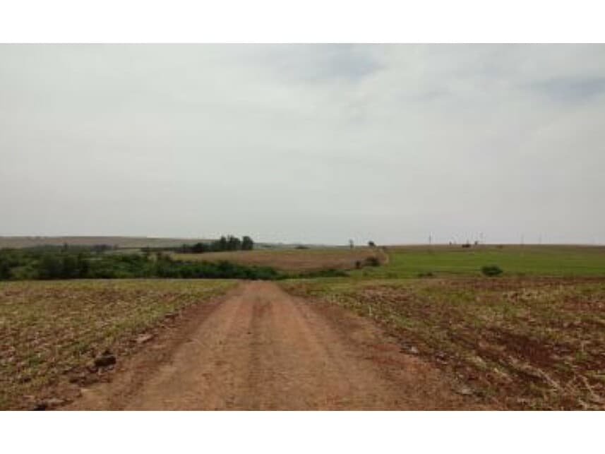 Foto 3 de 6: Area Rural em leilão em Formosa Do Oeste - PR — Área Rural à venda em leilão