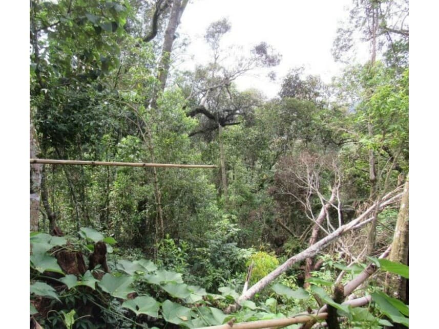 Foto 6 de 7: Terreno em leilão em Mairiporã - SP — Terreno à venda em leilão