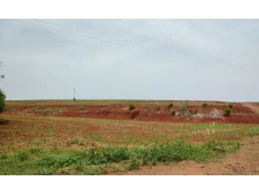 Foto 4 de 6: Area Rural em leilão em Formosa Do Oeste - PR — Área Rural à venda em leilão