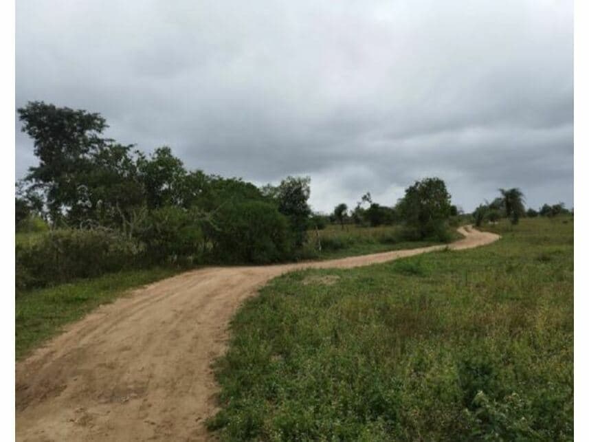 Foto 5 de 5: Terreno em leilão em Feira De Santana - BA — Terreno à venda