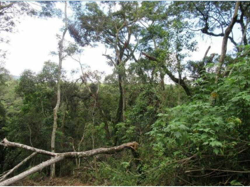 Foto 1 de 7: Terreno em leilão em Mairiporã - SP — Terreno à venda em leilão