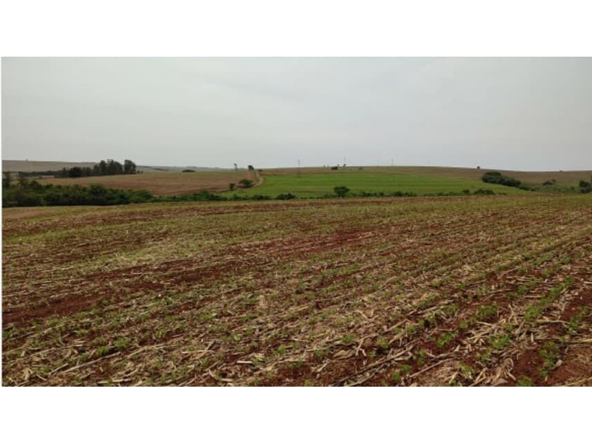 Foto 1 de 6: Area Rural em leilão em Formosa Do Oeste - PR — Área Rural à venda em leilão