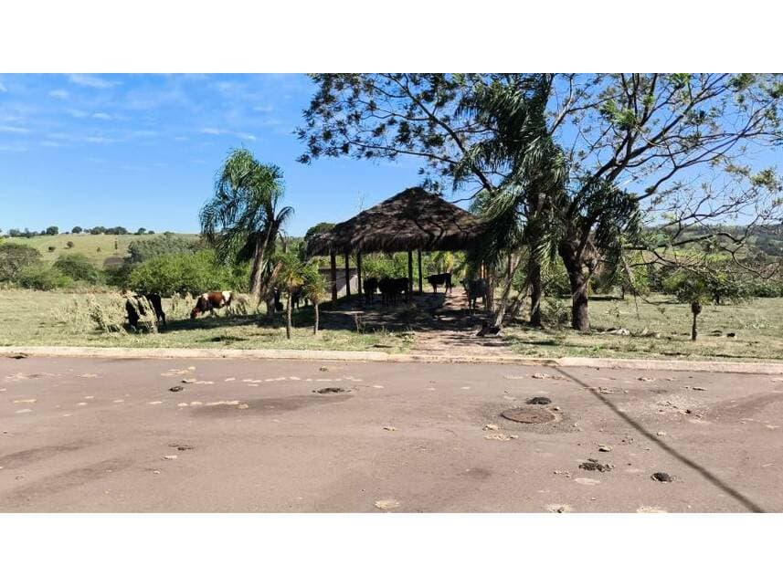 Foto 9 de 15: Terreno em leilão em Pérola - PR — Terreno à venda em leilão