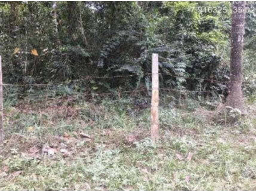 Foto 12 de 19: Area Rural em leilão em Abreu E Lima - PE — Área Rural à venda em leilão