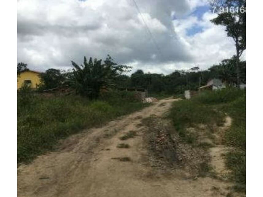 Foto 17 de 19: Area Rural em leilão em Abreu E Lima - PE — Área Rural à venda em leilão
