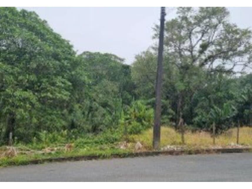 Foto 2 de 5: Terreno em leilão em Joinville - SC — Terrenos à venda em leilão
