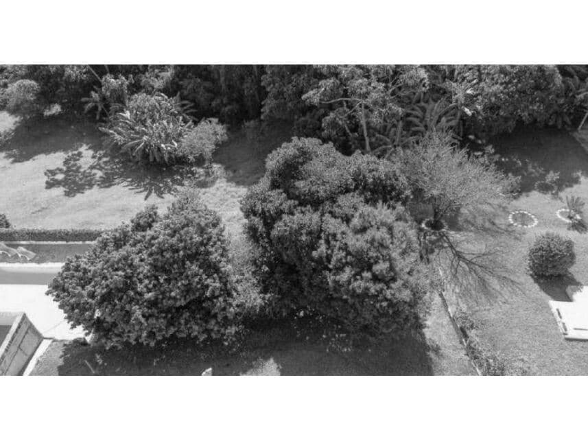 Foto 19 de 29: Terreno em leilão em Joanópolis - SP — Terreno c/benfeitorias à venda em leilão