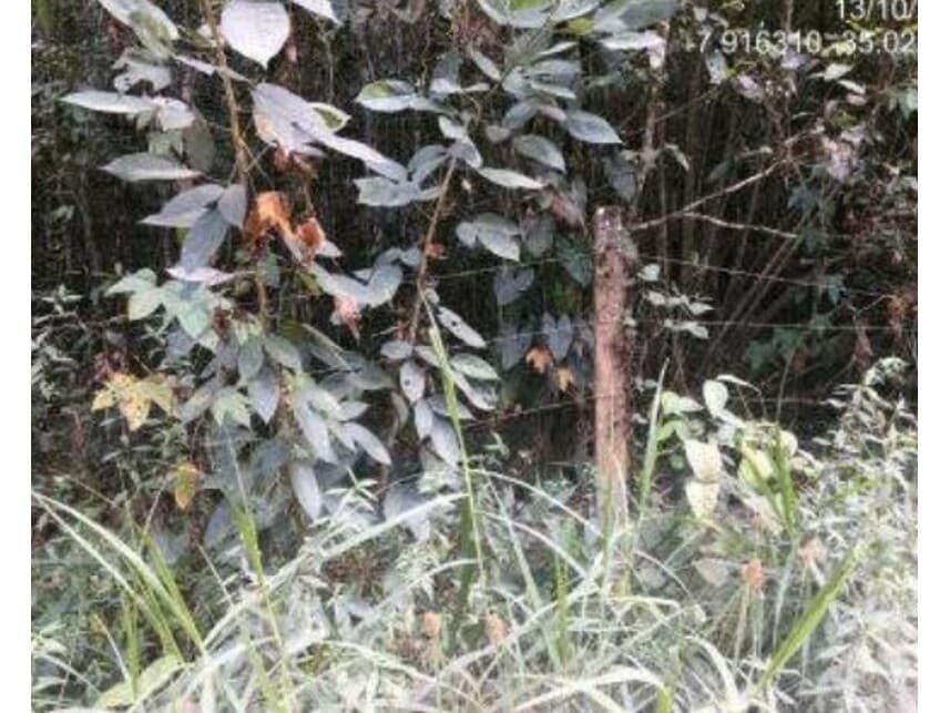 Foto 9 de 19: Area Rural em leilão em Abreu E Lima - PE — Área Rural à venda em leilão