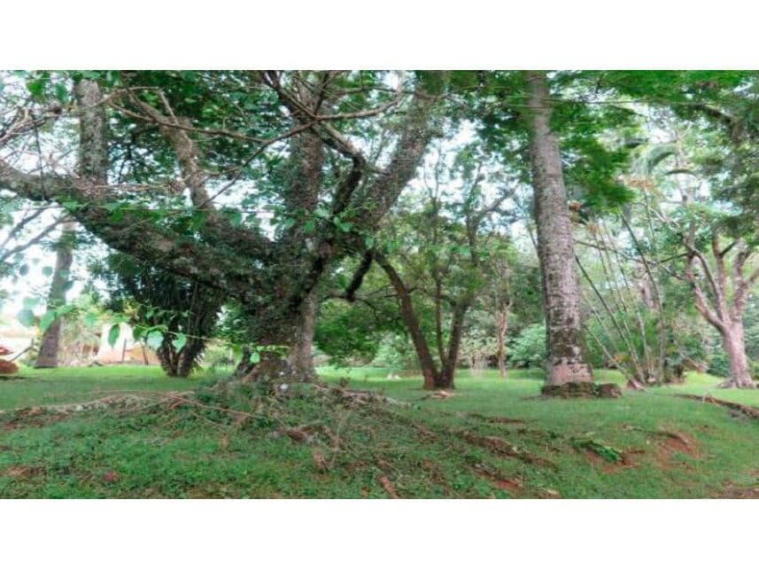 Foto 7 de 12: Terreno em leilão em Itatiba - SP — Terreno à venda em leilão