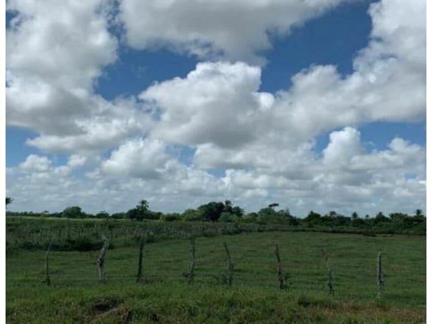 Foto 2 de 5: Terreno em leilão em Feira De Santana - BA — Terreno à venda
