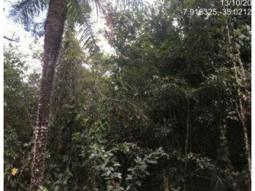 Foto 11 de 19: Area Rural em leilão em Abreu E Lima - PE — Área Rural à venda em leilão