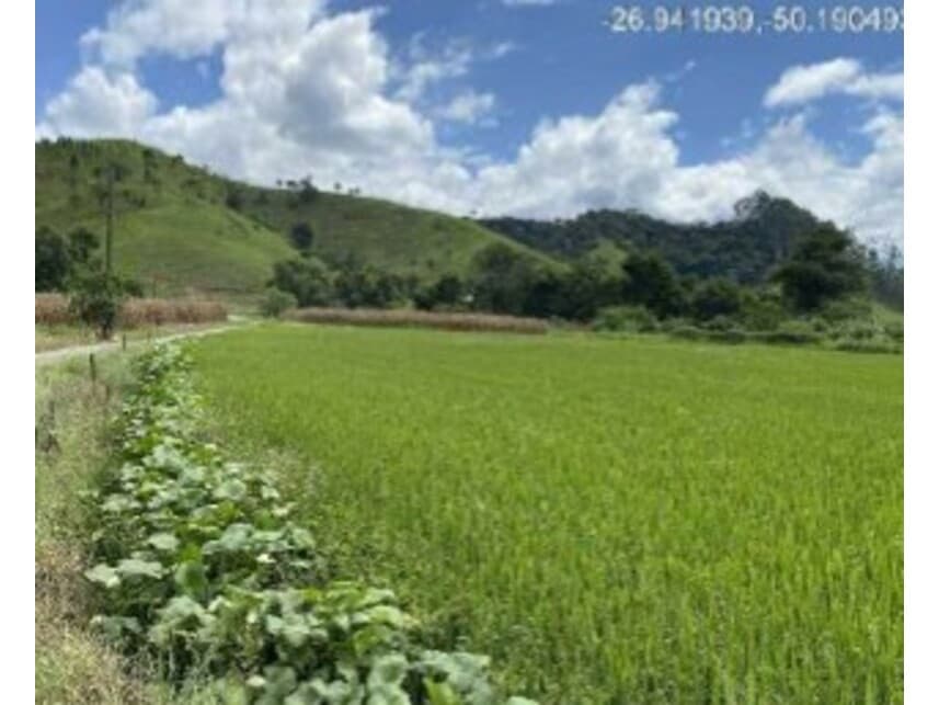 Foto 4 de 6: Area Rural em leilão em Rio Do Campo - SC — Área Rural à venda em leilão