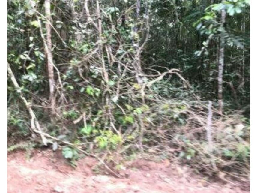 Foto 6 de 19: Area Rural em leilão em Abreu E Lima - PE — Área Rural à venda em leilão