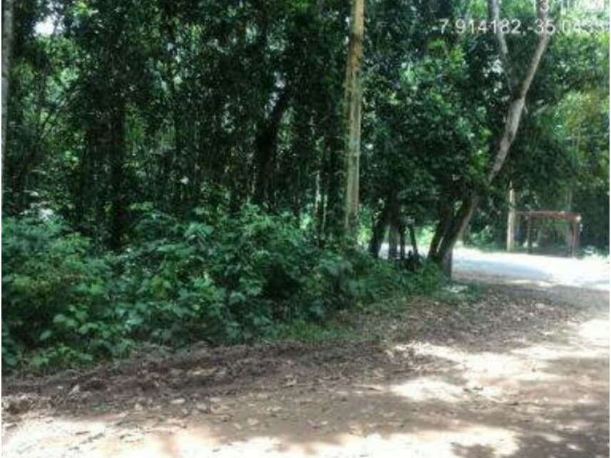 Foto 2 de 19: Area Rural em leilão em Abreu E Lima - PE — Área Rural à venda em leilão