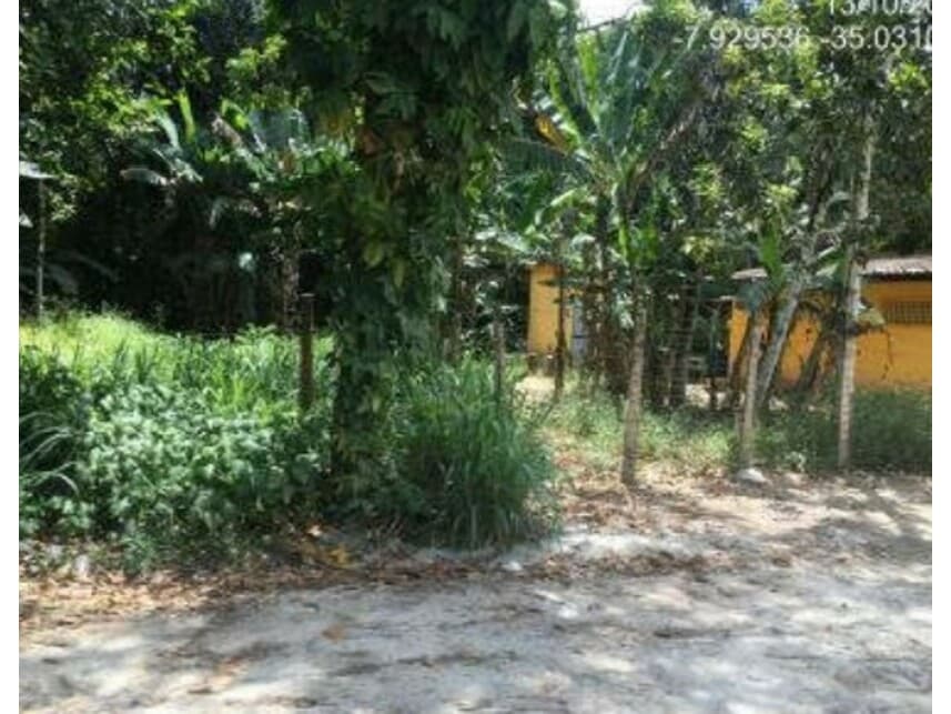 Foto 15 de 19: Area Rural em leilão em Abreu E Lima - PE — Área Rural à venda em leilão