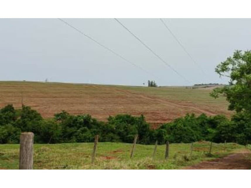 Foto 2 de 6: Area Rural em leilão em Formosa Do Oeste - PR — Área Rural à venda em leilão