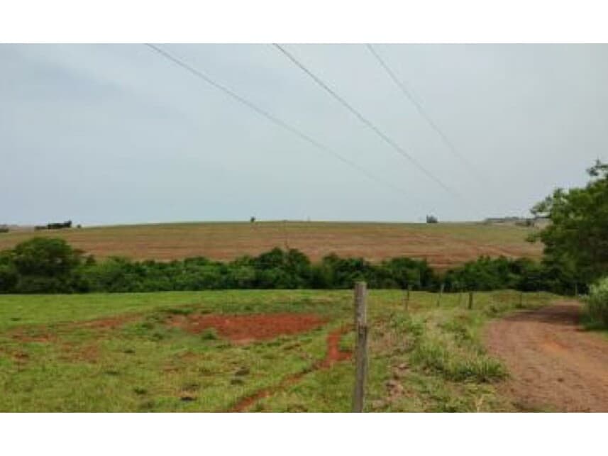 Foto 5 de 6: Area Rural em leilão em Formosa Do Oeste - PR — Área Rural à venda em leilão