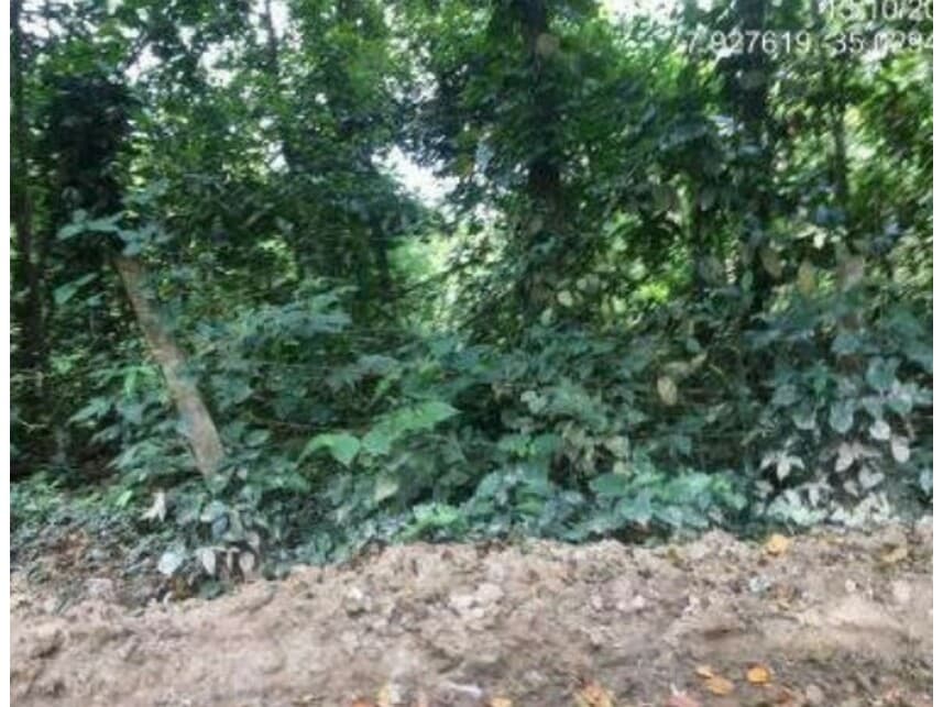 Foto 13 de 19: Area Rural em leilão em Abreu E Lima - PE — Área Rural à venda em leilão
