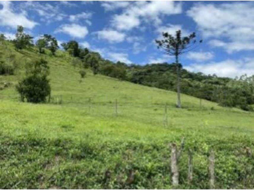 Foto 1 de 6: Area Rural em leilão em Rio Do Campo - SC — Área Rural à venda em leilão