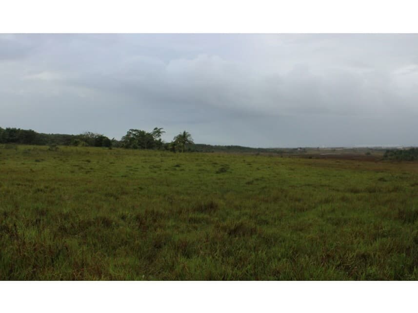 Foto 4 de 4: Area Rural em leilão em Camaçari - BA — Gleba de Terras à venda em leilão