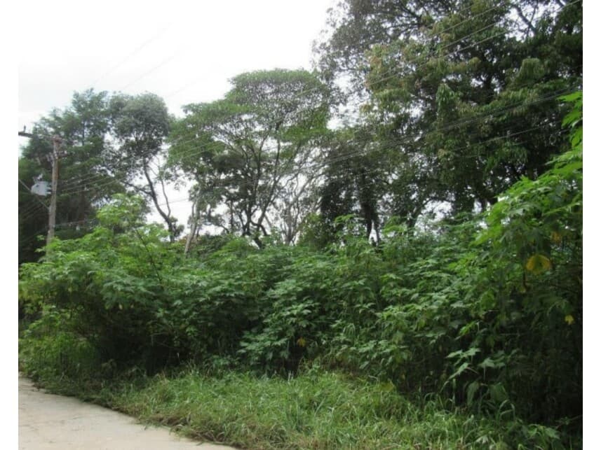 Foto 4 de 7: Terreno em leilão em Mairiporã - SP — Terreno à venda em leilão
