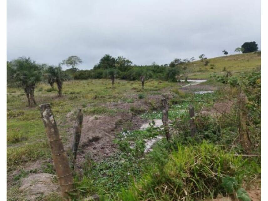 Foto 4 de 5: Terreno em leilão em Feira De Santana - BA — Terreno à venda