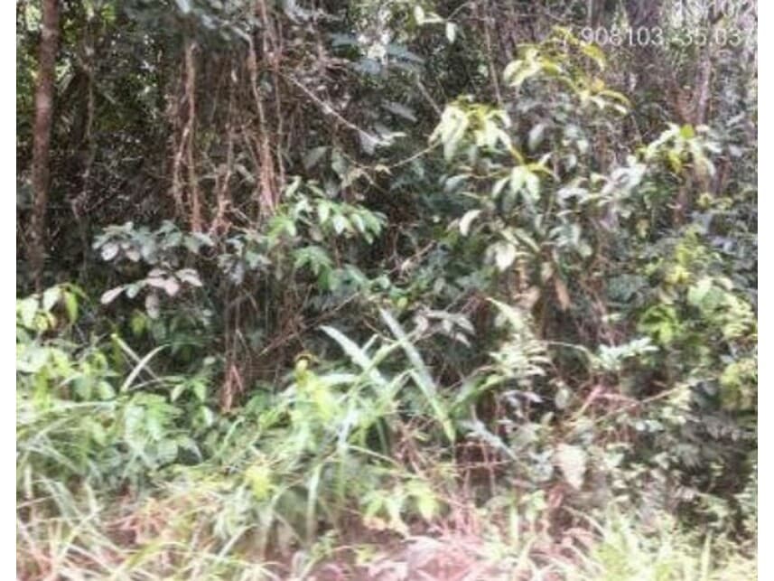Foto 5 de 19: Area Rural em leilão em Abreu E Lima - PE — Área Rural à venda em leilão
