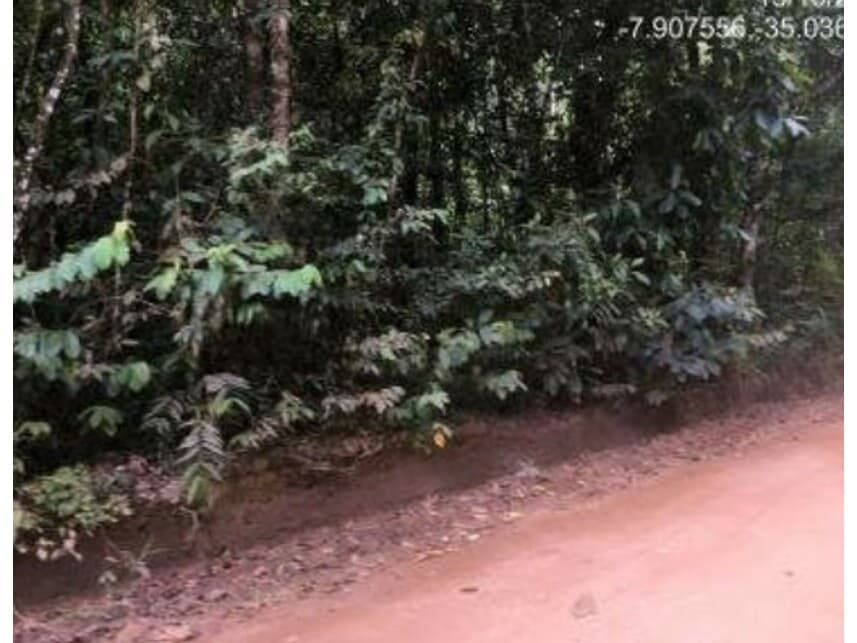 Foto 7 de 19: Area Rural em leilão em Abreu E Lima - PE — Área Rural à venda em leilão