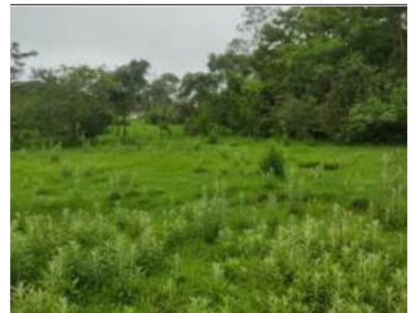 Foto 2 de 17: Terreno em leilão em Cidade Ocidental - GO — Terreno à venda em leilão