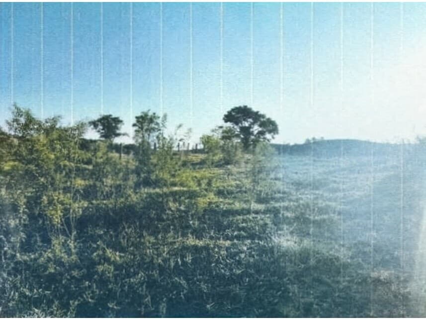 Foto 5 de 17: Area Rural em leilão em Sorocaba - SP — Área Rural à venda em leilão