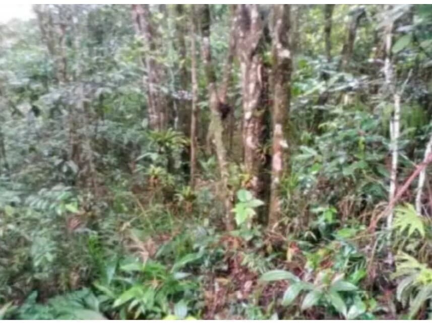 Foto 4 de 7: Terreno em leilão em São Bernardo Do Campo - SP — Terreno à venda em leilão
