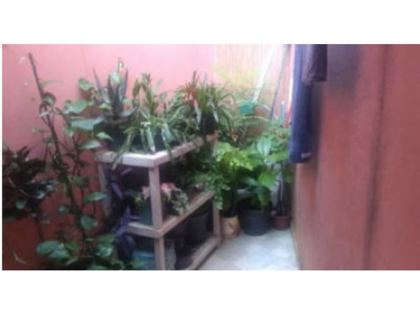 Foto 9 de 14: Casa em leilão em São Paulo - SP — Casa à venda em leilão