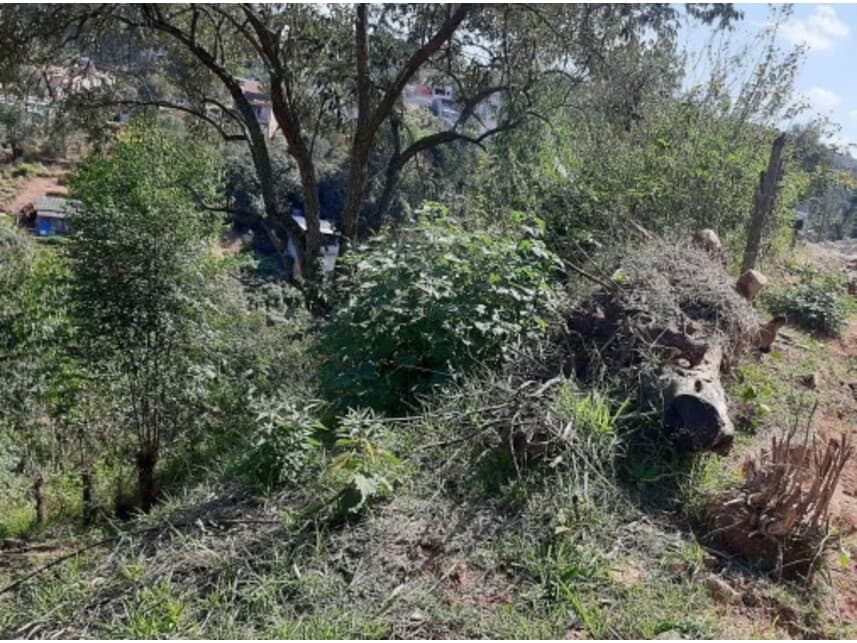 Foto 3 de 6: Terreno em leilão em Francisco Morato - SP — Terreno à venda em leilão