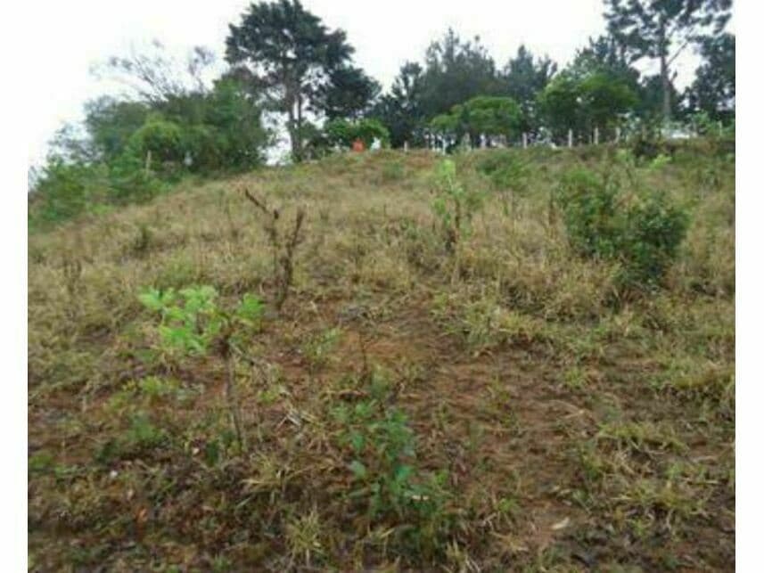 Foto 3 de 10: Terreno em leilão em Barbacena - MG — Terreno à venda