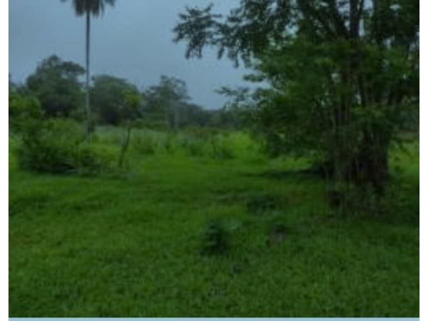 Foto 16 de 17: Terreno em leilão em Cidade Ocidental - GO — Terreno à venda em leilão