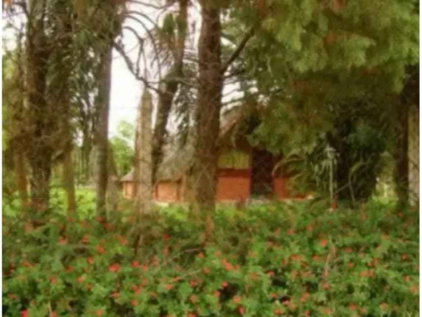 Foto 3 de 4: Casa em leilão em São Pedro - SP — Chácara à venda em leilão