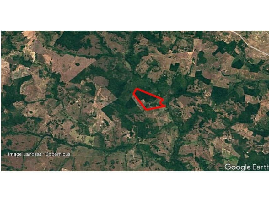 Foto 8 de 8: Area Rural em leilão em Conceição Do Araguaia - PA — Área Rural à venda em leilão