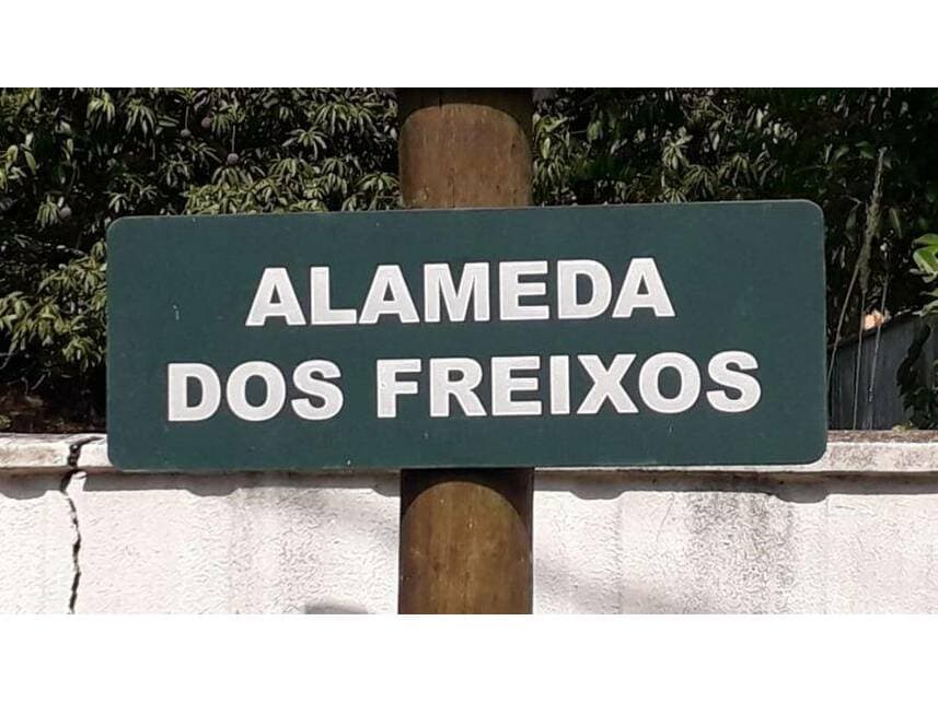 Foto 5 de 24: Casa em leilão em Campinas - SP — Casa à venda em leilão