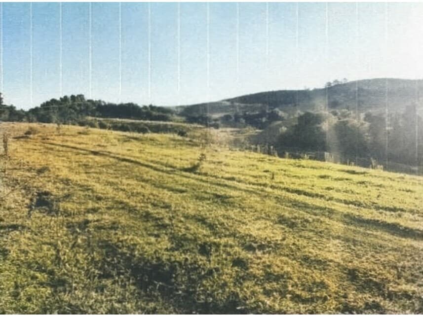 Foto 8 de 17: Area Rural em leilão em Sorocaba - SP — Área Rural à venda em leilão