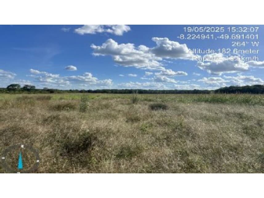 Foto 5 de 8: Area Rural em leilão em Conceição Do Araguaia - PA — Área Rural à venda em leilão
