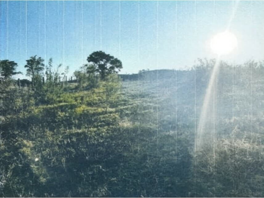Foto 6 de 17: Area Rural em leilão em Sorocaba - SP — Área Rural à venda em leilão