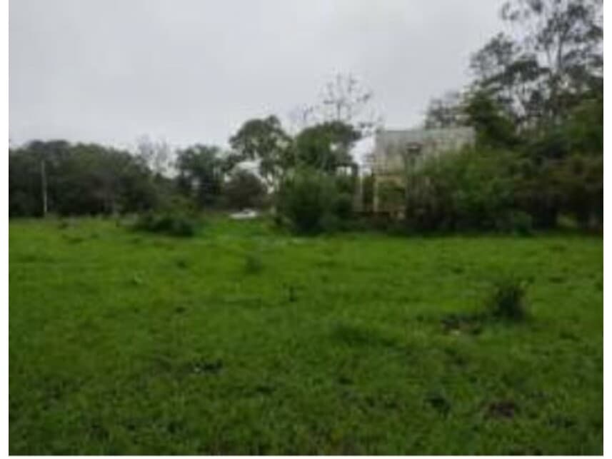Foto 5 de 17: Terreno em leilão em Cidade Ocidental - GO — Terreno à venda em leilão
